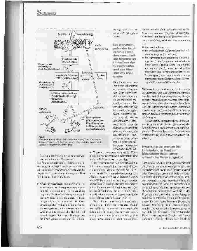 Vorschauseite 3: Möglichkeiten effektiver Schmerzbehandlung mit Elektrotherapie