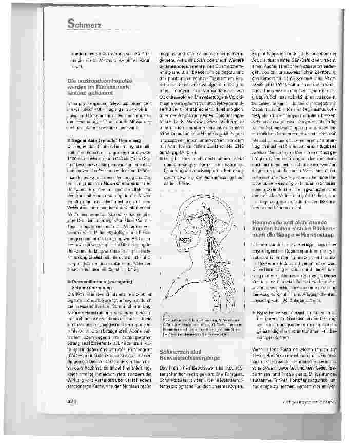 Vorschauseite 5: Möglichkeiten effektiver Schmerzbehandlung mit Elektrotherapie