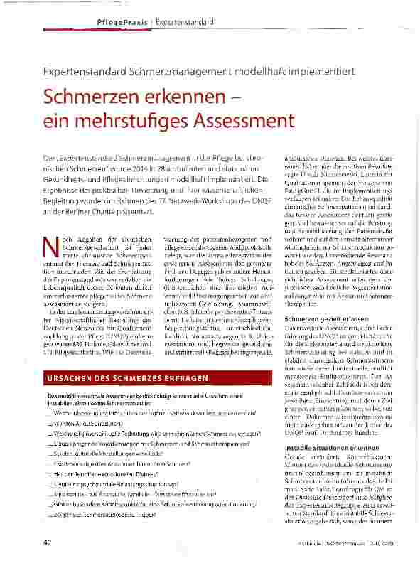 Vorschauseite 1: Schmerzen erkennen -ein mehrstufiges Assessment