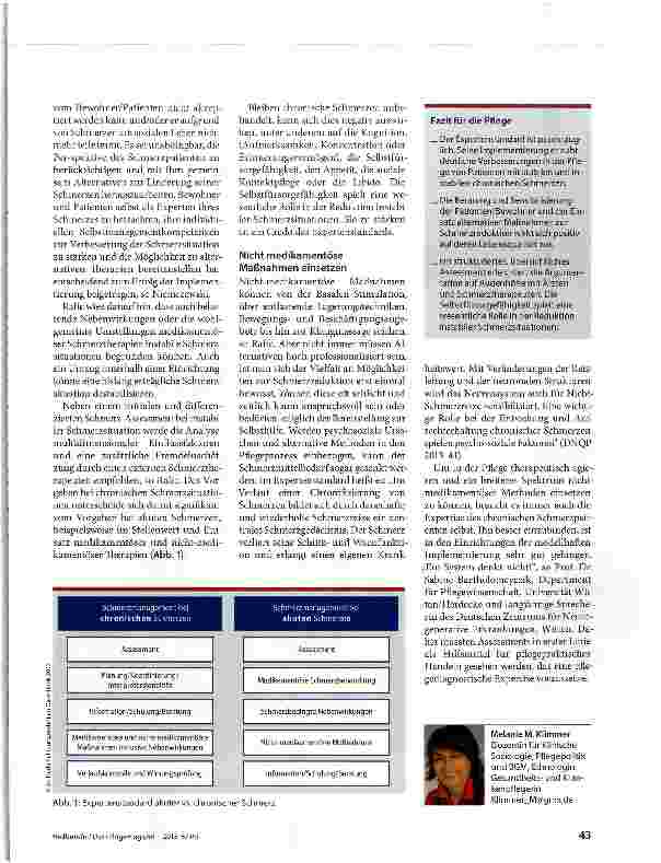 Vorschauseite 2: Schmerzen erkennen -ein mehrstufiges Assessment