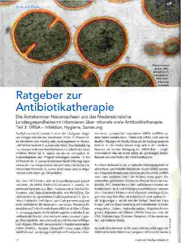 Vorschauseite 1: Ratgeber zur Antibiotikatherapie