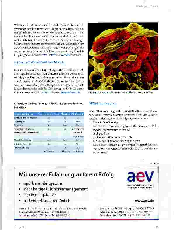 Vorschauseite 4: Ratgeber zur Antibiotikatherapie