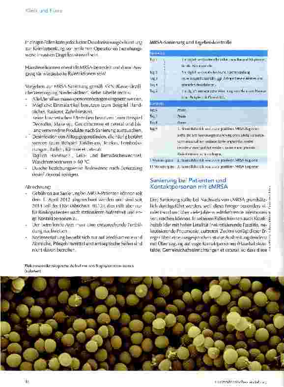 Vorschauseite 5: Ratgeber zur Antibiotikatherapie