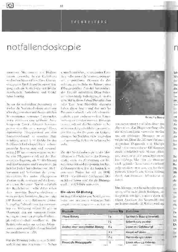 Vorschauseite 2: notfallendoskopie bei akuter blutung im gastrointestinaltrakteine pflegerische herausforderung