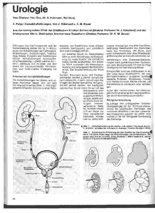 Vorschauseite 1: Urologie 5. Folge: Harnablußstörungen