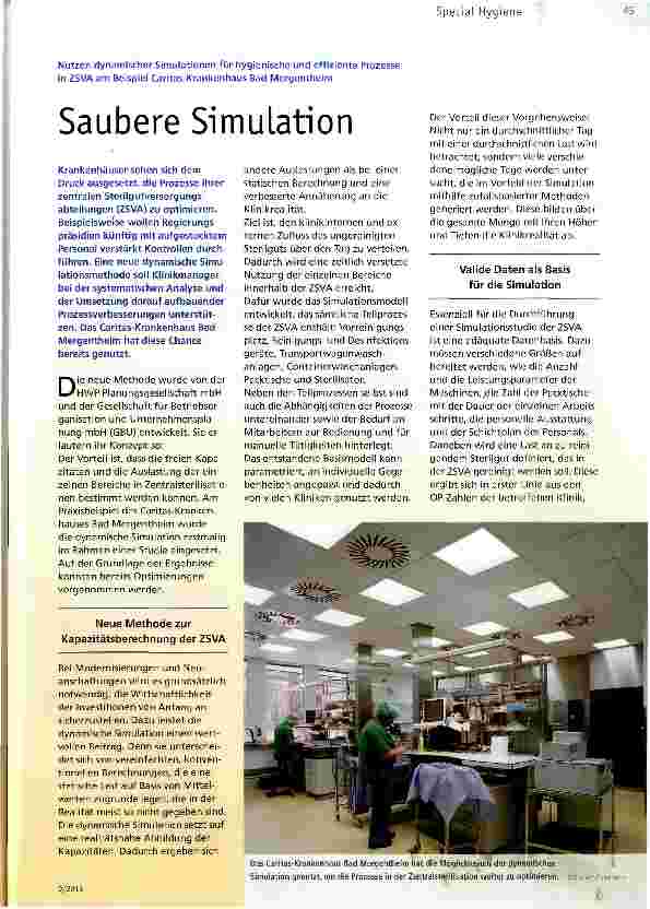 Vorschauseite 1: Saubere Simulation