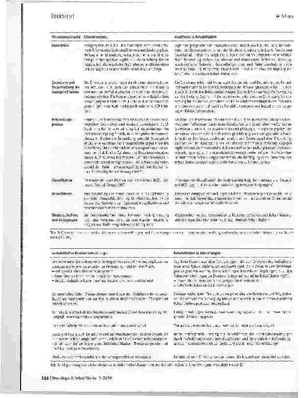 Vorschauseite 4: Externe Qualitätssicherungsprogramme der gesetzlichen Sozialversicherungen für die neurologische Rehabilitation - Übersicht der Vorgehensweisen und erste Ergebnisse