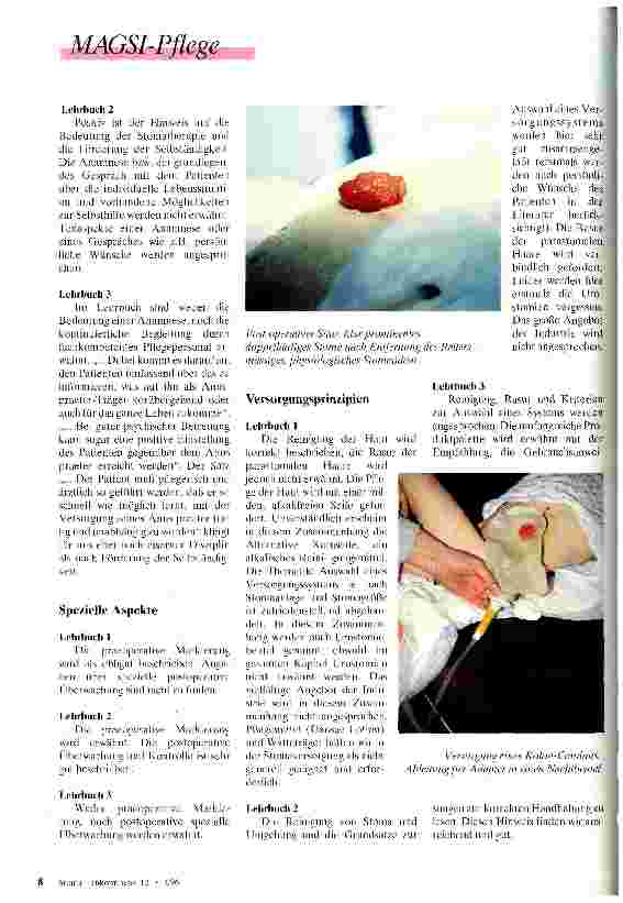 Vorschauseite 5: Qualität nicht ohne Profis Standardwerke in der Krankenhauspflegeausbildung - Grundlegende Aspekte des Pflegewissens zur Versorgung von PatientInnen mit Stomaanlage inbegriffen?