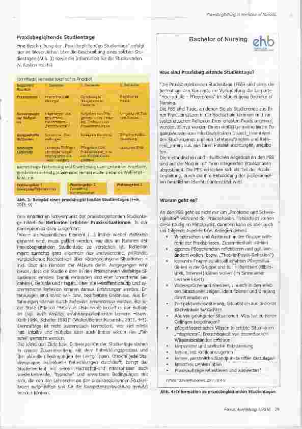 Vorschauseite 2: Praxisbegleitung im Studium Bachelor of Nur-sing an der Evangelischen Hochschule Berlin