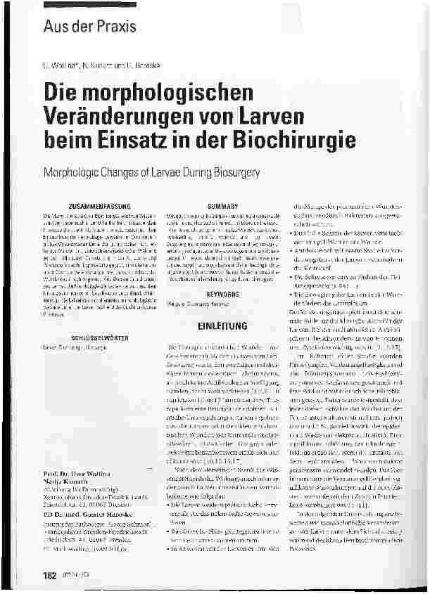 Vorschauseite 1: Die morphologischen Veränderungen von Larven beim Einsatz in der Biochirurgie