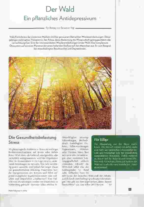 Vorschauseite 1: Der Wald Ein pflanzliches Antidepressivum