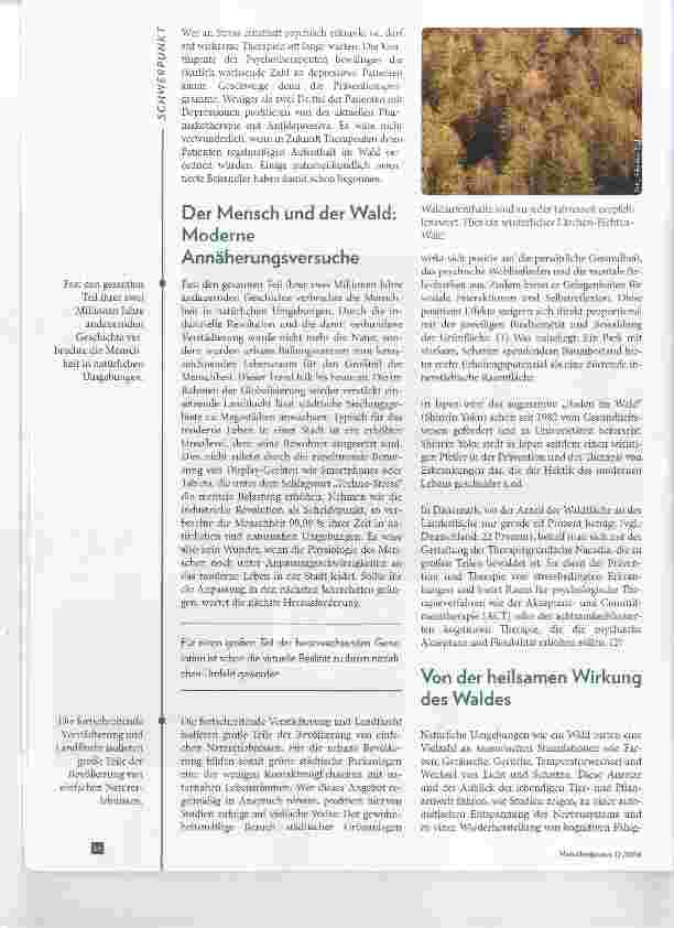 Vorschauseite 2: Der Wald Ein pflanzliches Antidepressivum