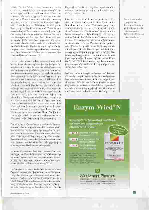 Vorschauseite 3: Der Wald Ein pflanzliches Antidepressivum