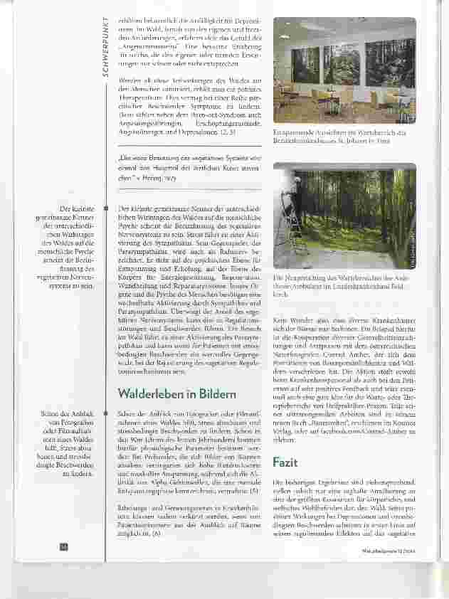 Vorschauseite 4: Der Wald Ein pflanzliches Antidepressivum