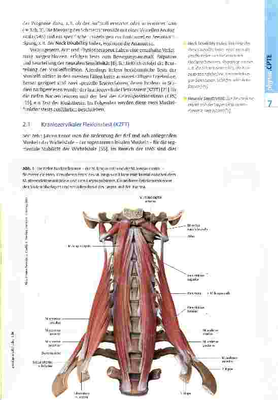 Vorschauseite 5: Physiotherapie bei Schleudertrauma