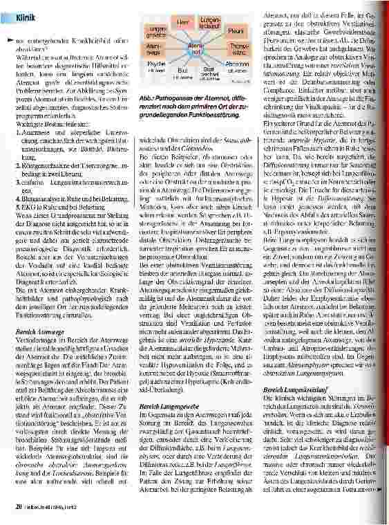 Vorschauseite 4: Atmung Physiologie und häufige Störungen des Sauerstoffaustauschs