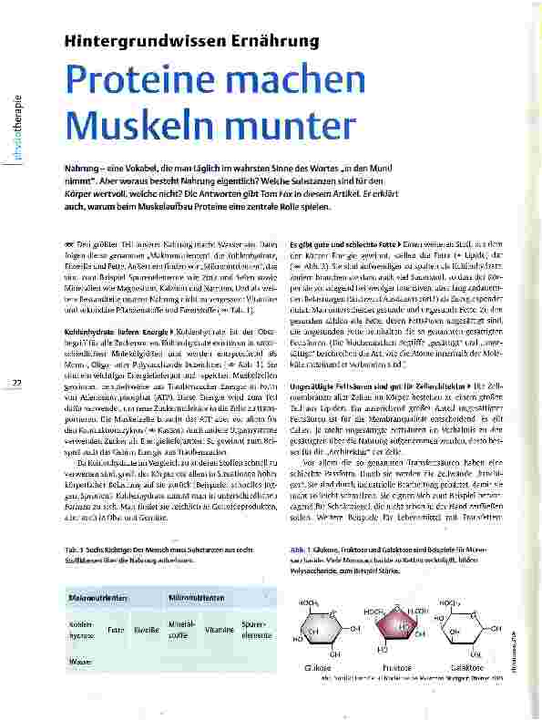 Vorschauseite 1: Hintergrundwissen Ernährung Proteine machen Muskeln munter