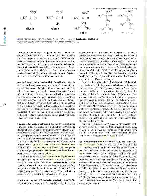 Vorschauseite 3: Hintergrundwissen Ernährung Proteine machen Muskeln munter