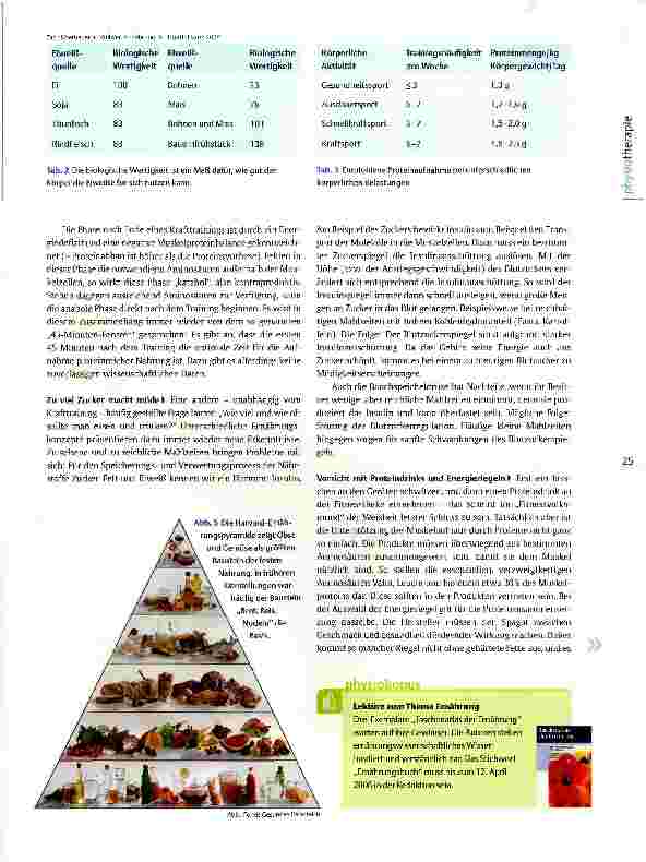 Vorschauseite 4: Hintergrundwissen Ernährung Proteine machen Muskeln munter