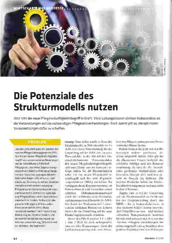 Vorschauseite 1: Die Potenziale des Strukturmodells nutzen