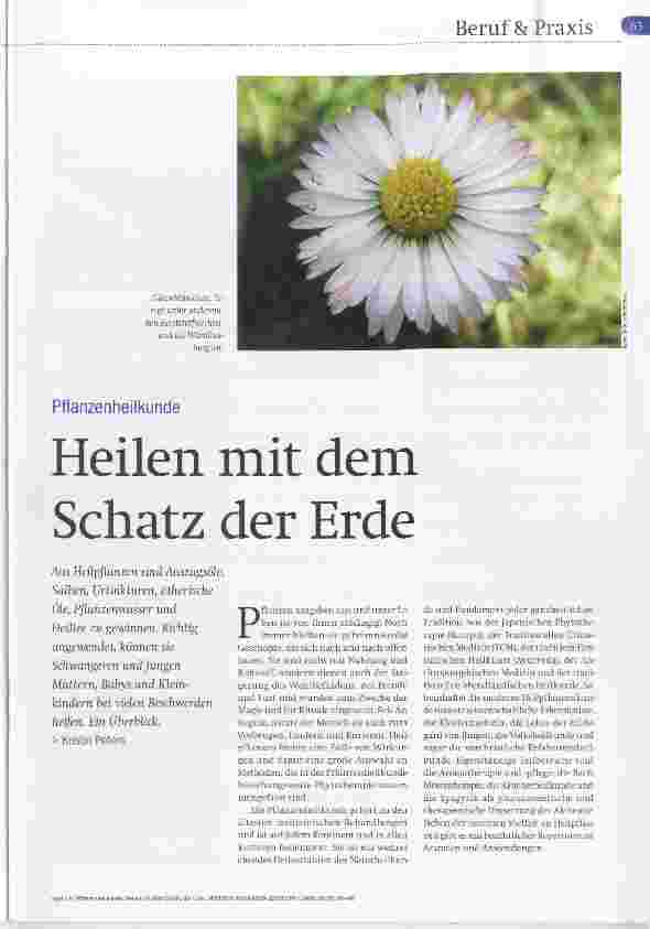 Vorschauseite 1: Heilen mit dem Schatz der Erde