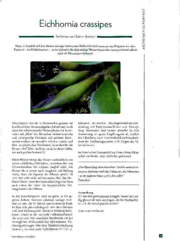 Vorschauseite 1: Eichhornia crassipes