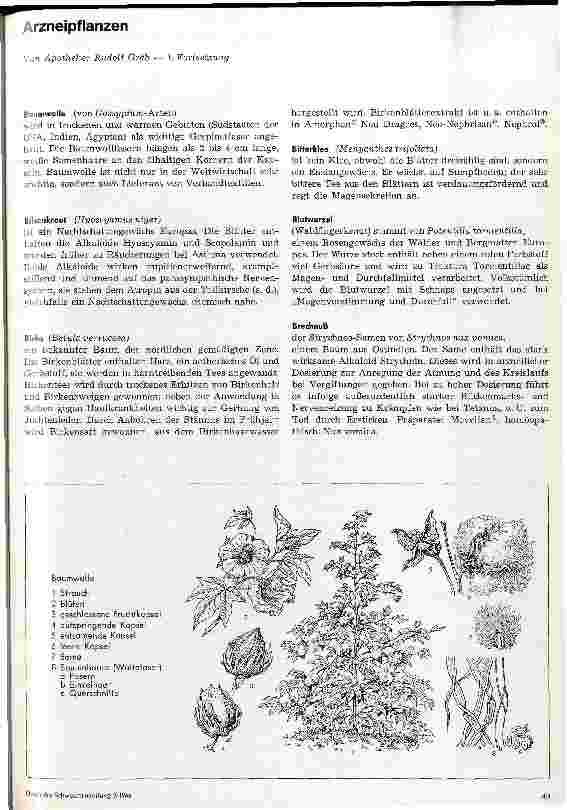 Vorschauseite 1: Arzneipflanzen 1. Fortsetzung