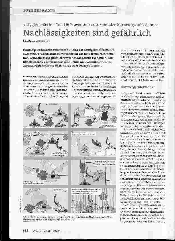 Vorschauseite 1: Nachlässigkeiten sind gefährlich