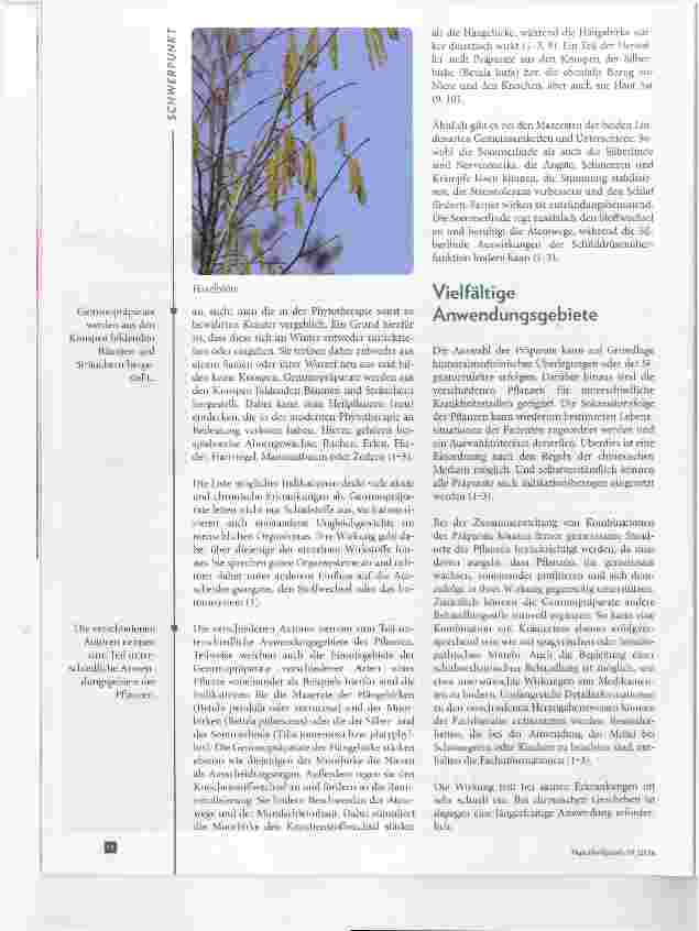 Vorschauseite 3: Pflanzenknospen und ihr therapeutisches Potenzial