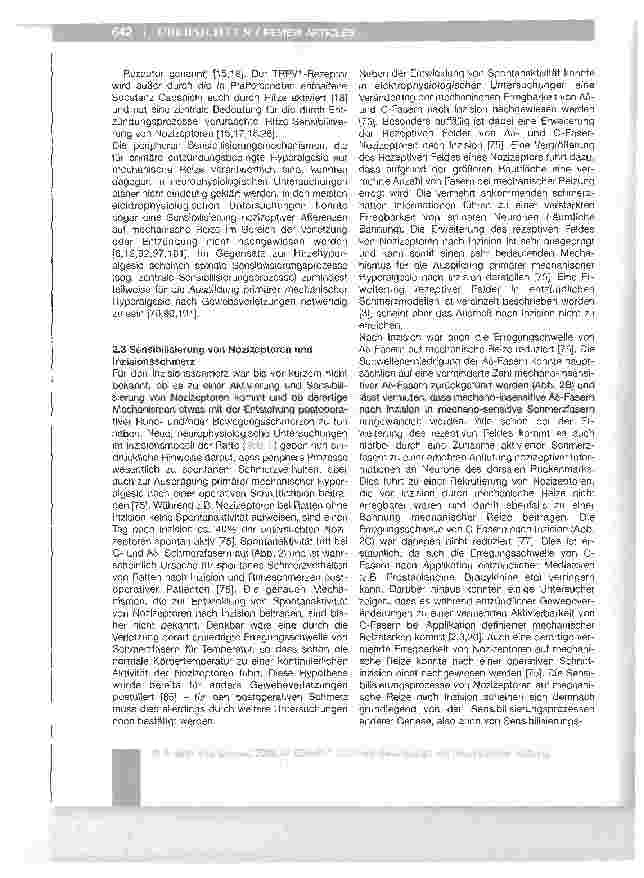 Vorschauseite 4: Die Bedeutung peripherer und zentraler Sensibilisierungsprozesse für den postoperativen Schmerz