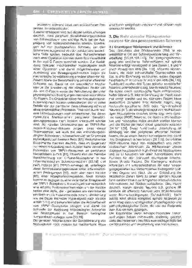 Vorschauseite 6: Die Bedeutung peripherer und zentraler Sensibilisierungsprozesse für den postoperativen Schmerz