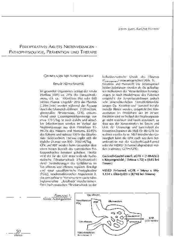 Vorschauseite 1: PERIOPERATIVES AKUTES NIERENVERSAGEN - PATHOPHYSIOLOGIE, PRÄVENTION UND THERAPIE