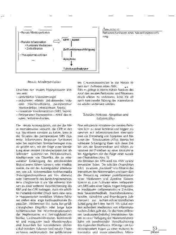 Vorschauseite 4: PERIOPERATIVES AKUTES NIERENVERSAGEN - PATHOPHYSIOLOGIE, PRÄVENTION UND THERAPIE