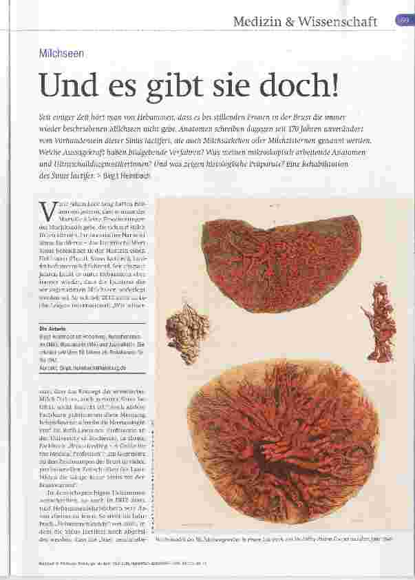 Vorschauseite 1: Und es gibt sie doch!
