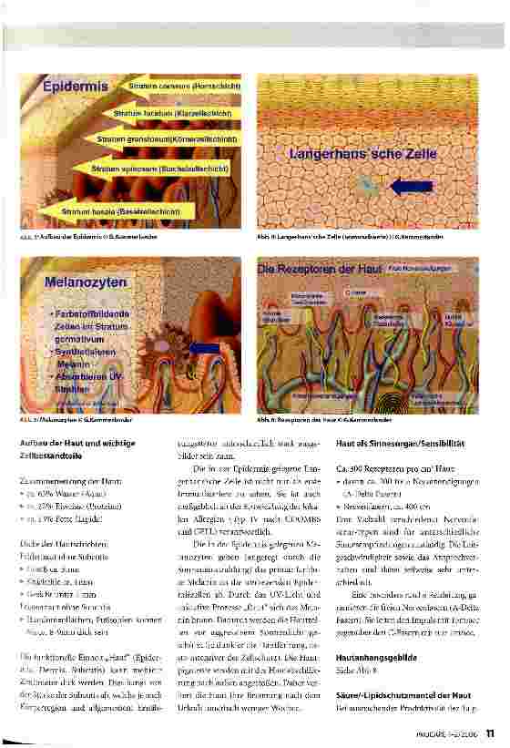 Vorschauseite 2: Dermatokurative und -protektive Maßnahmen