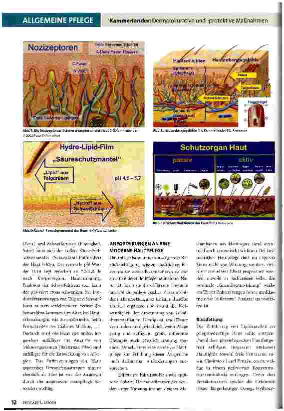 Vorschauseite 3: Dermatokurative und -protektive Maßnahmen