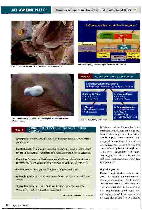 Vorschauseite 4: Dermatokurative und -protektive Maßnahmen