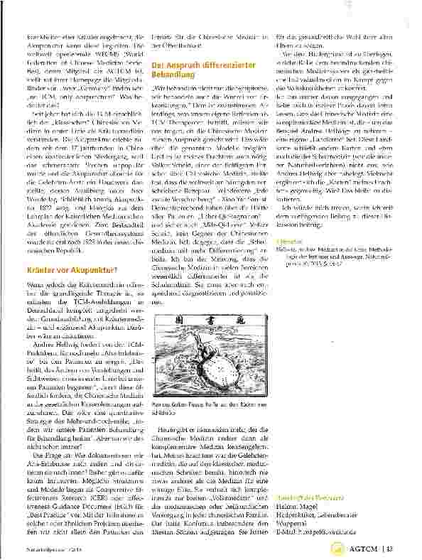 Vorschauseite 2: Der Anspruch an die Chinesische Medizin