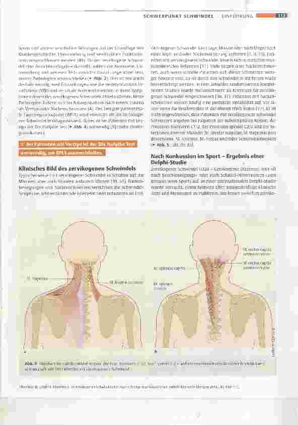Vorschauseite 5: Ist zervikogener Schwindel eine eigenständige muskuloskeletale Entität?