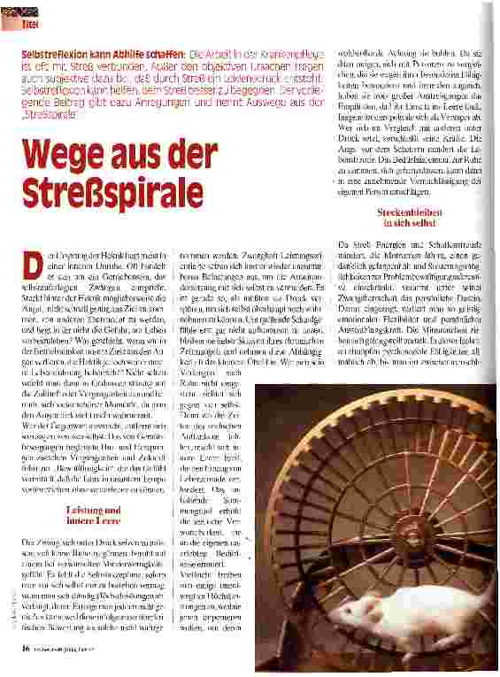 Vorschauseite 1: Wege aus der Streßspirale