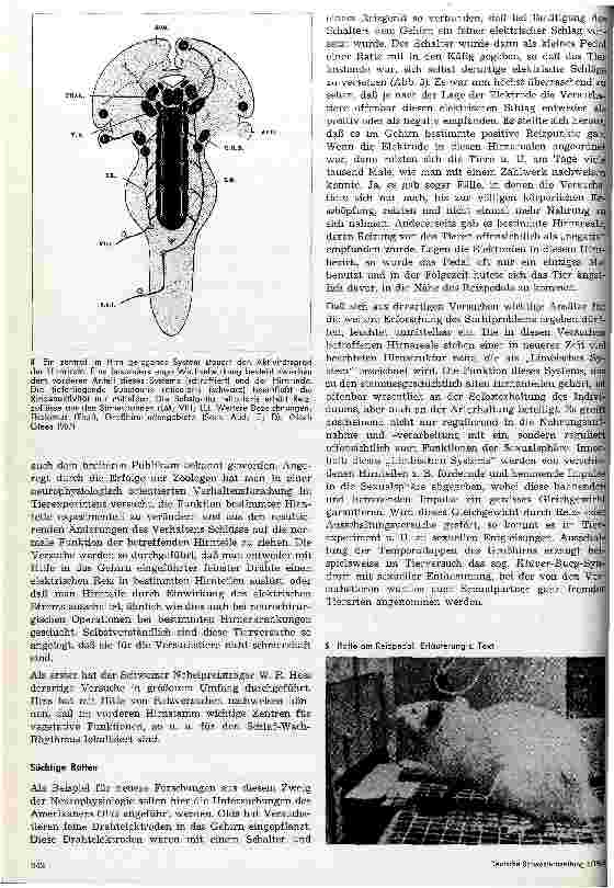 Vorschauseite 3: Physiologie des Großhirns und seelische Vorgänge
