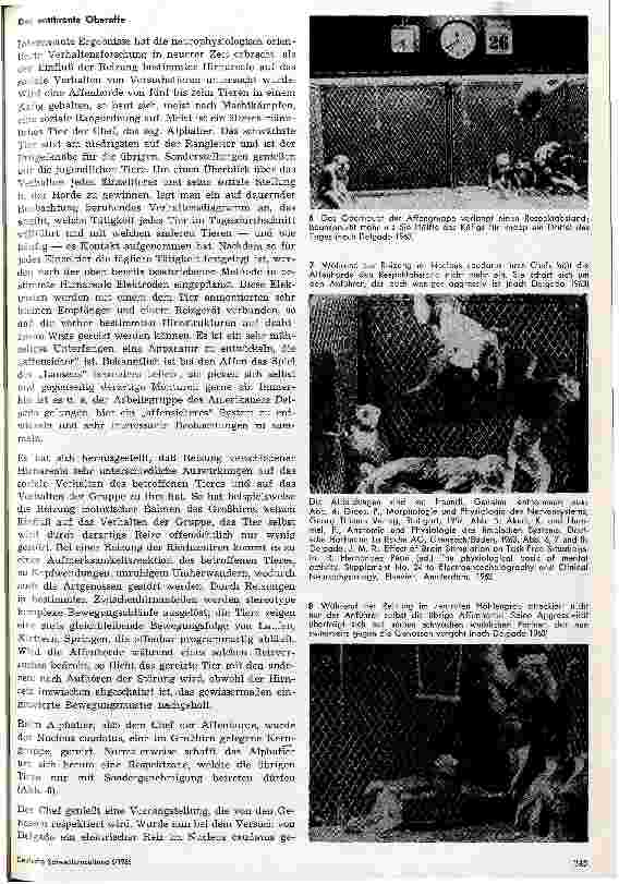 Vorschauseite 4: Physiologie des Großhirns und seelische Vorgänge
