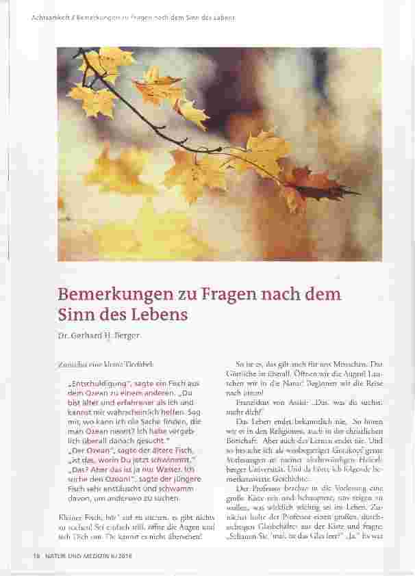 Vorschauseite 1: Bemerkungen zu Fragen nach dem Sinn des Lebens