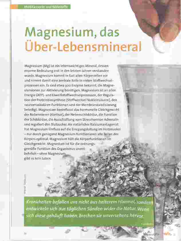 Vorschauseite 1: Magnesium, das Überlebensmineral