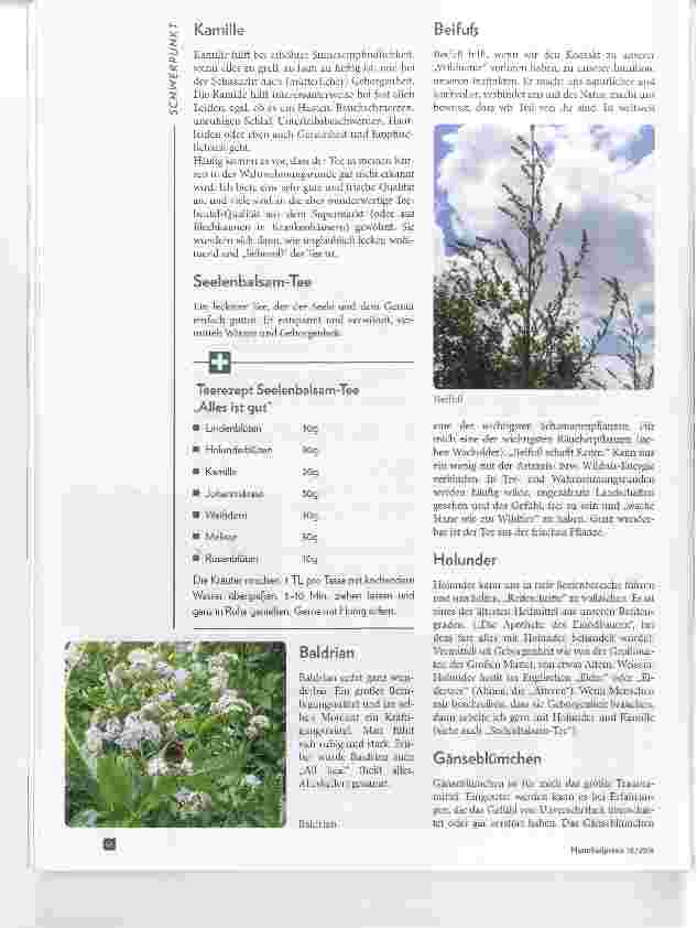Vorschauseite 3: Pflanzen für die Seele