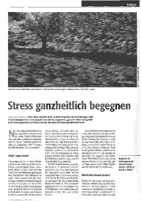 Vorschauseite 1: Stress ganzheitlich begegnen