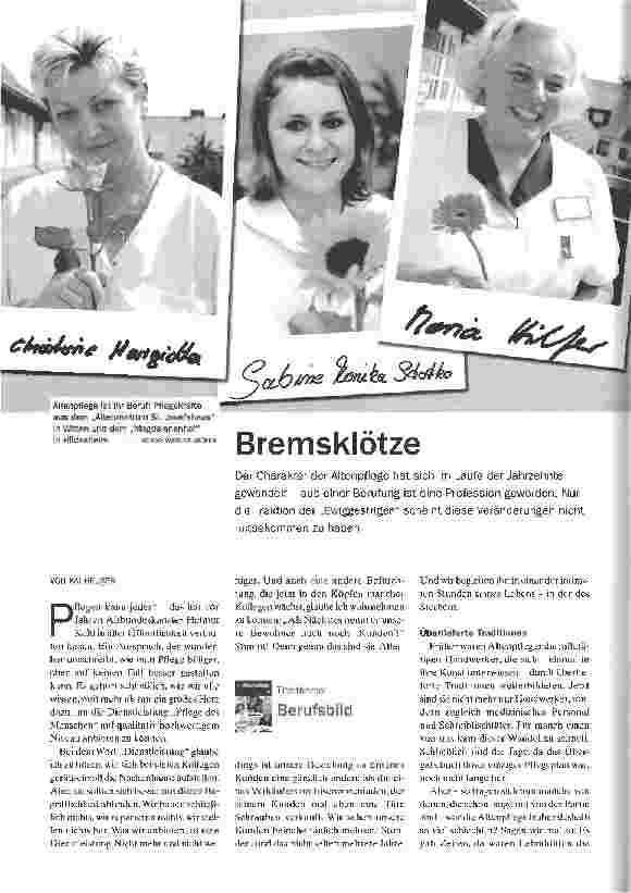 Vorschauseite 1: Bremsklötze