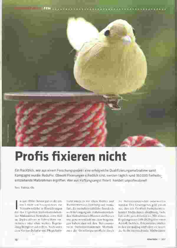 Vorschauseite 1: Profis fixieren nicht