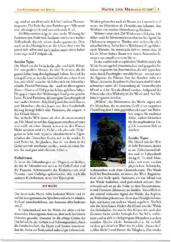 Vorschauseite 3: Die Wirtsbäume der Mistel Teil 2
