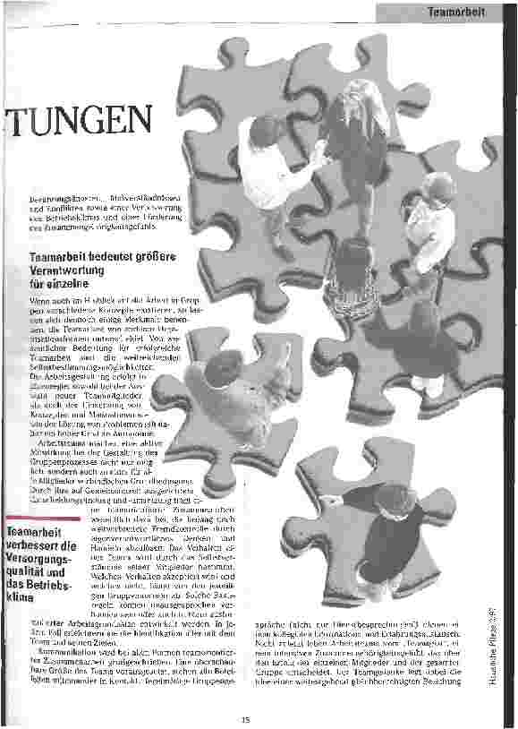 Vorschauseite 2: Mehr als die Summe von Einzelleistungen Teamarbeit - Bildung und Entwicklung von Arbeitsgruppen in der Pflege